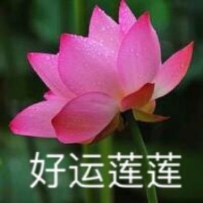 和平荣耀吃鸡战场手游下载